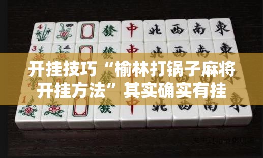 开挂技巧“榆林打锅子麻将开挂方法”其实确实有挂