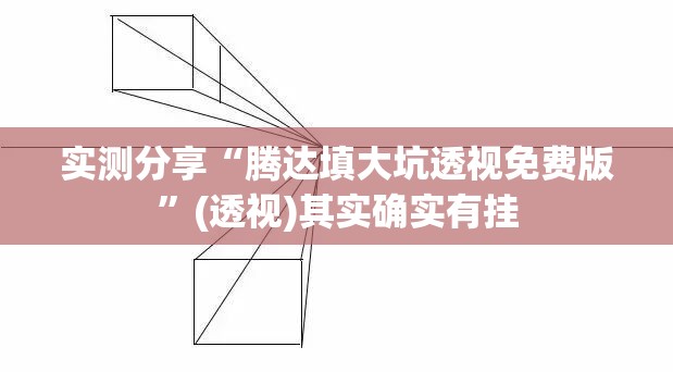 实测分享“腾达填大坑透视免费版”(透视)其实确实有挂