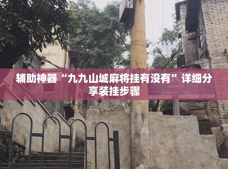 辅助神器“九九山城麻将挂有没有”详细分享装挂步骤