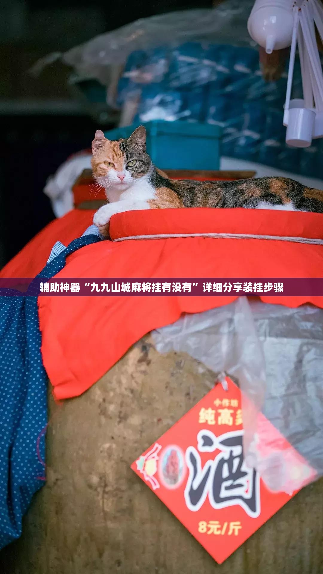 辅助神器“九九山城麻将挂有没有”详细分享装挂步骤