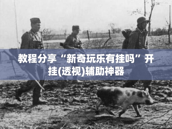 教程分享“新奇玩乐有挂吗”开挂(透视)辅助神器