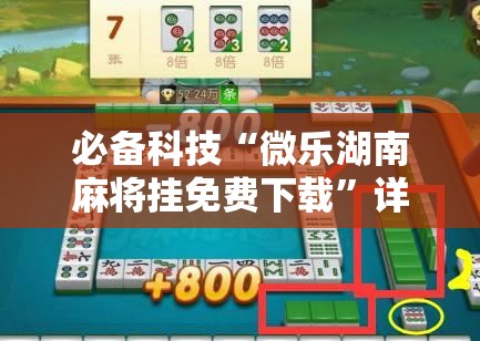 必备科技“微乐湖南麻将挂免费下载”详细分享装挂步骤