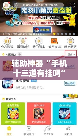 辅助神器“手机十三道有挂吗”细辅助教程分享