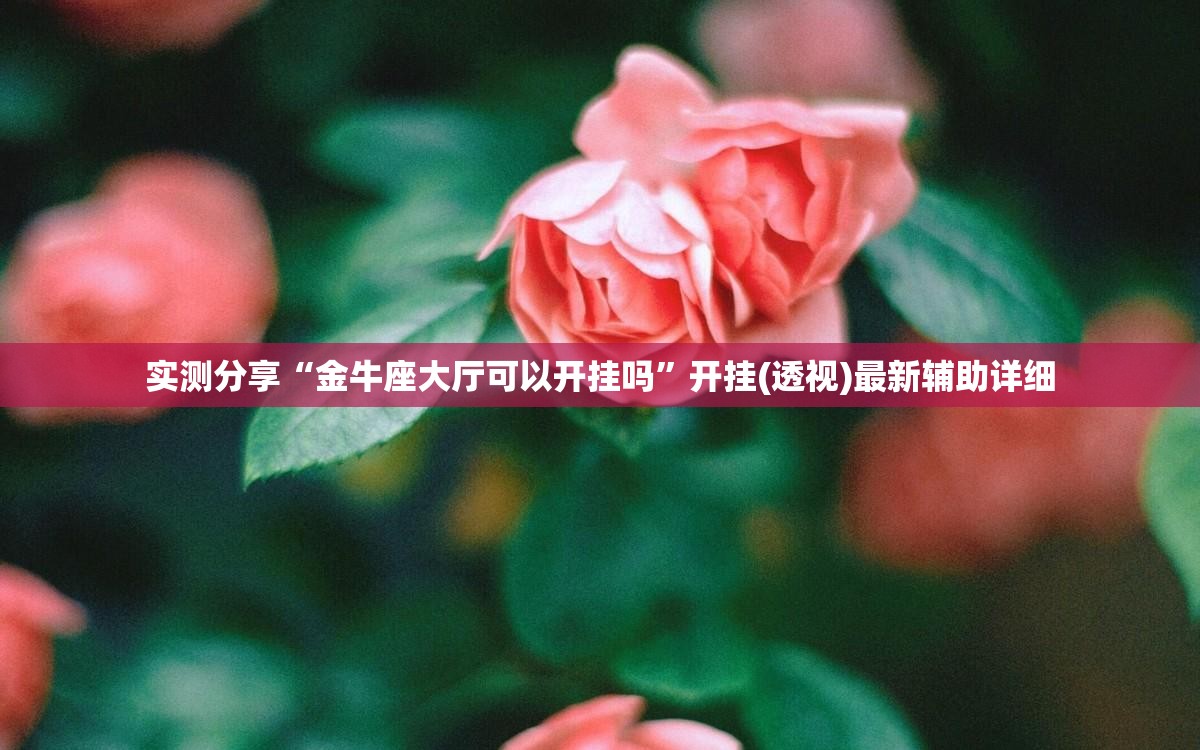 实测分享“金牛座大厅可以开挂吗	”开挂(透视)最新辅助详细