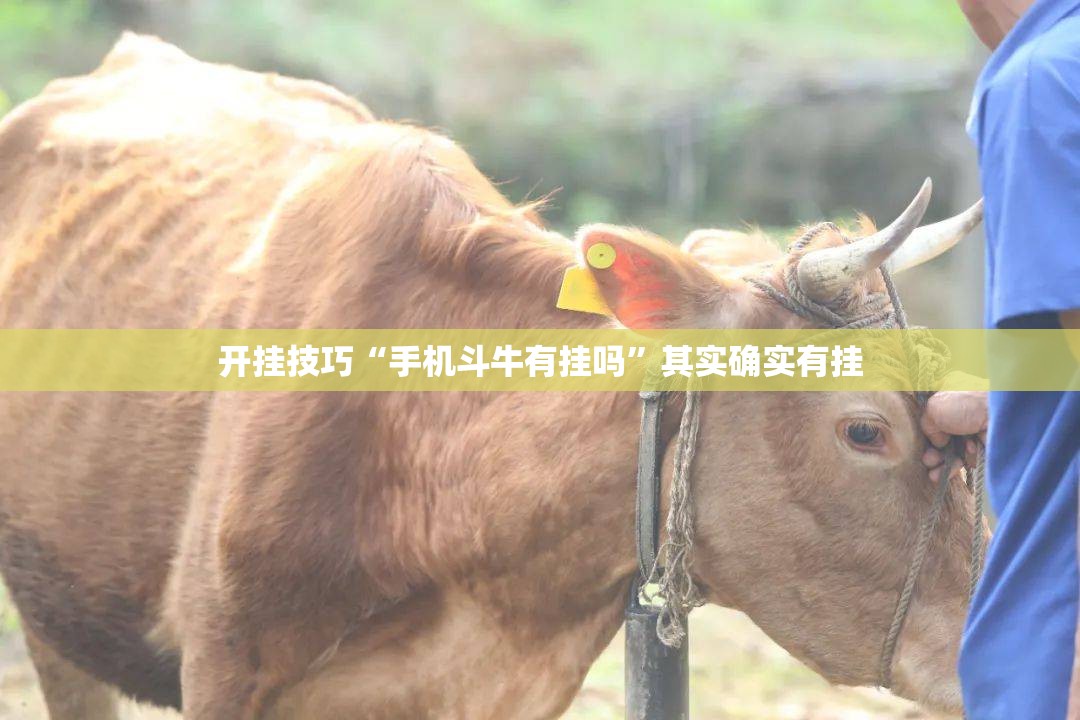 开挂技巧“手机斗牛有挂吗”其实确实有挂