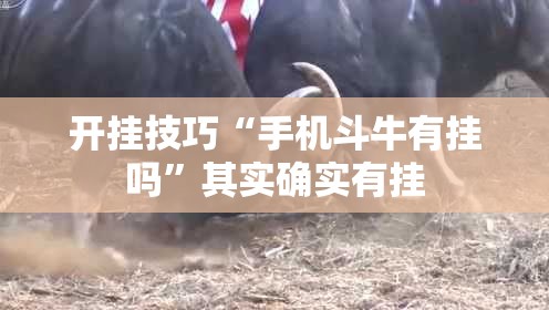 开挂技巧“手机斗牛有挂吗	”其实确实有挂