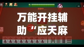 万能开挂辅助“应天麻将挂”(透视)其实确实有挂