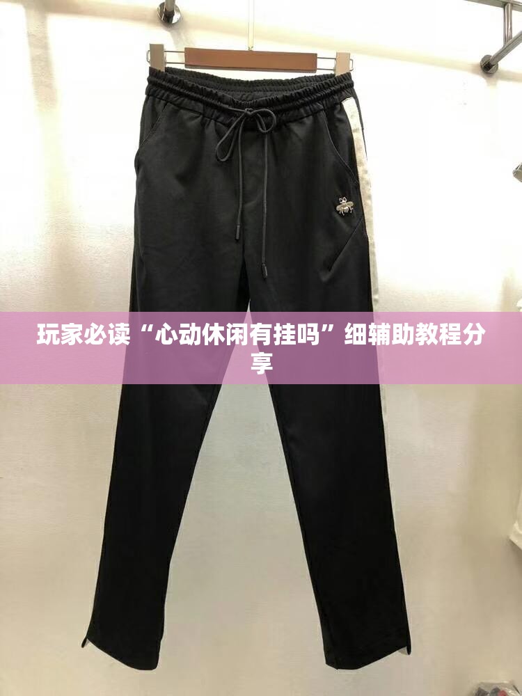 玩家必读“心动休闲有挂吗”细辅助教程分享