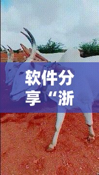 软件分享“浙江游戏大厅手机开挂免费”科技辅助神器手机版