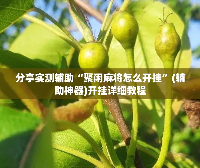 分享实测辅助“聚闲麻将怎么开挂”(辅助神器)开挂详细教程