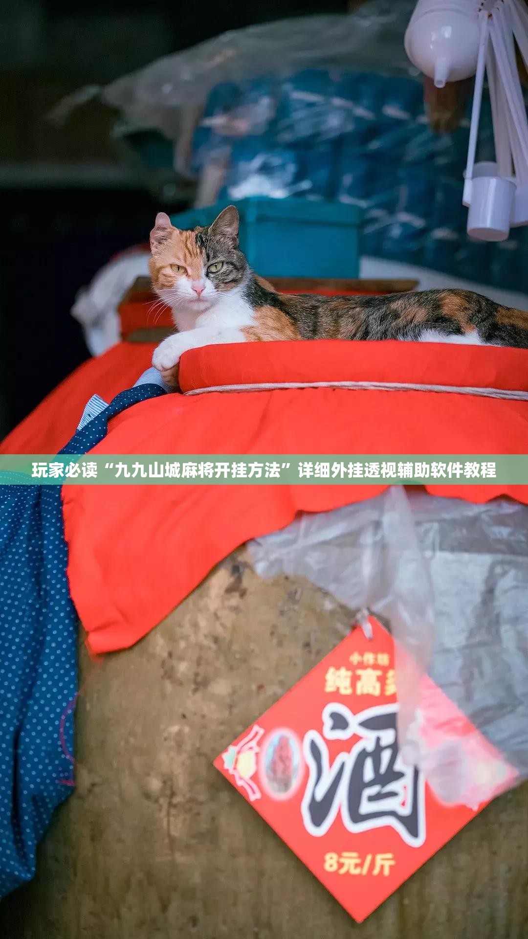 玩家必读“九九山城麻将开挂方法	”详细外挂透视辅助软件教程