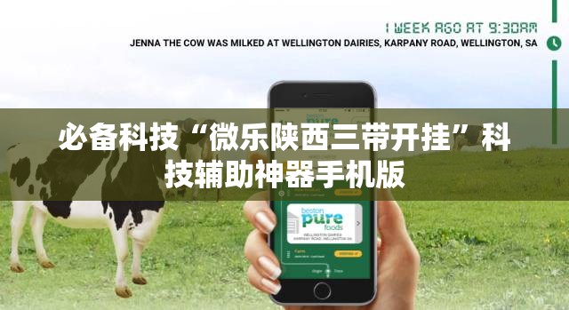 必备科技“微乐陕西三带开挂	”科技辅助神器手机版