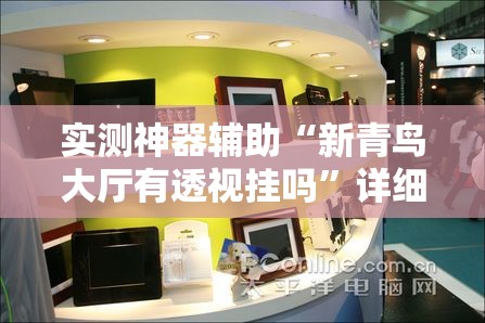 实测神器辅助“新青鸟大厅有透视挂吗”详细分享装挂步骤