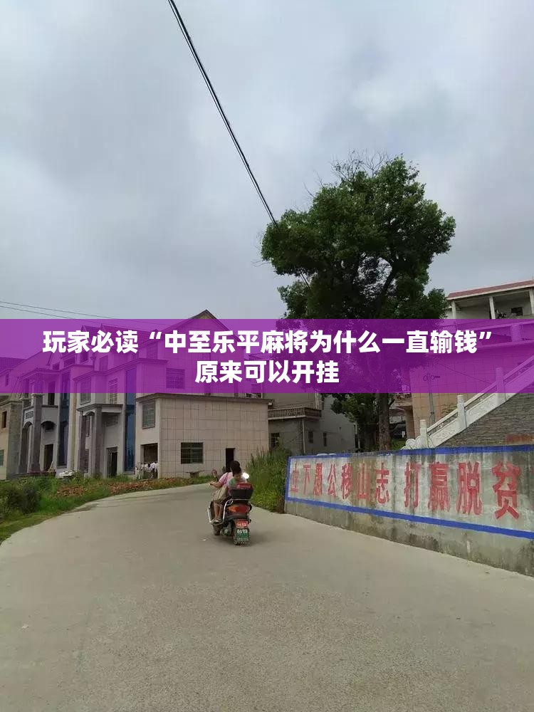 玩家必读“中至乐平麻将为什么一直输钱”原来可以开挂
