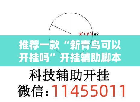 推荐一款“新青鸟可以开挂吗	”开挂辅助脚本+详细开挂安装教程