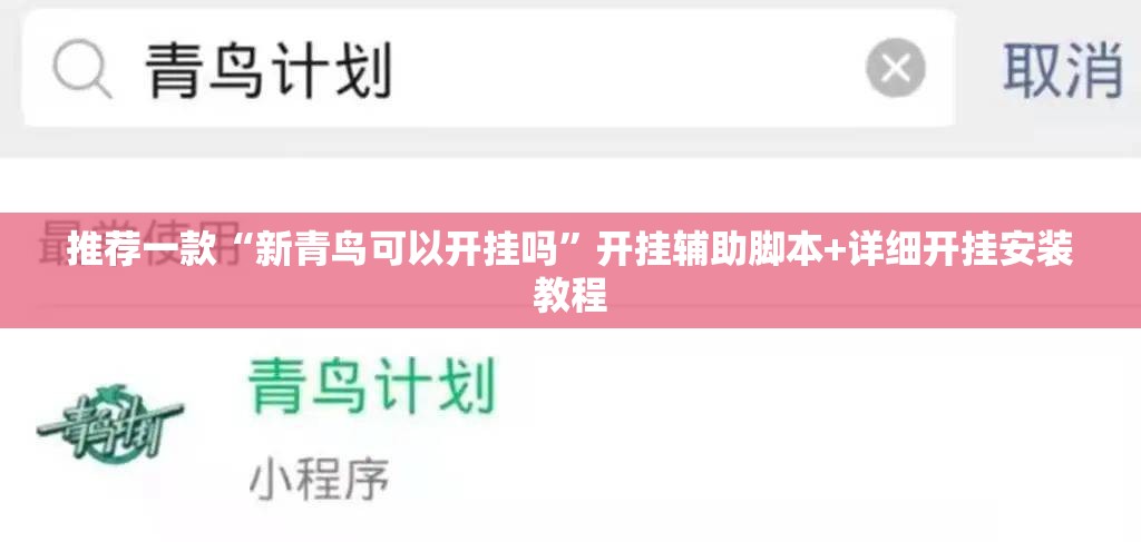 推荐一款“新青鸟可以开挂吗”开挂辅助脚本+详细开挂安装教程