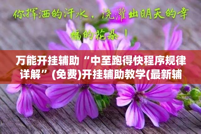 万能开挂辅助“中至跑得快程序规律详解”(免费)开挂辅助教学(最新辅助开挂教程)