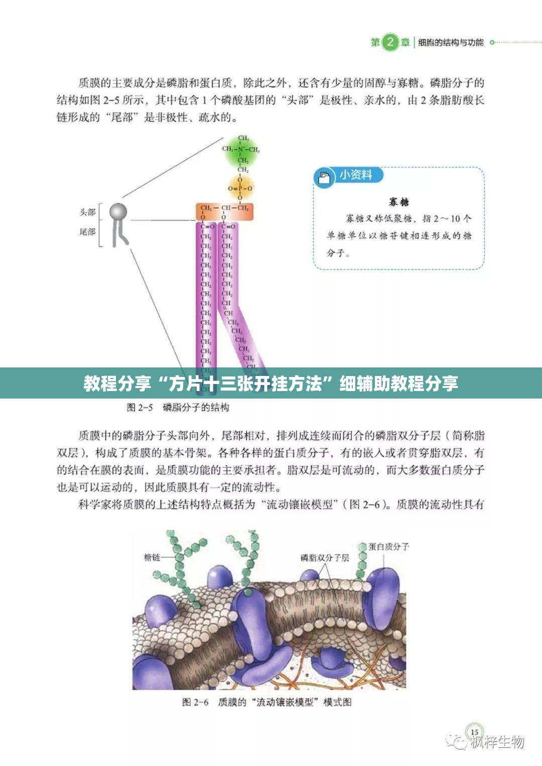 教程分享“方片十三张开挂方法	”细辅助教程分享