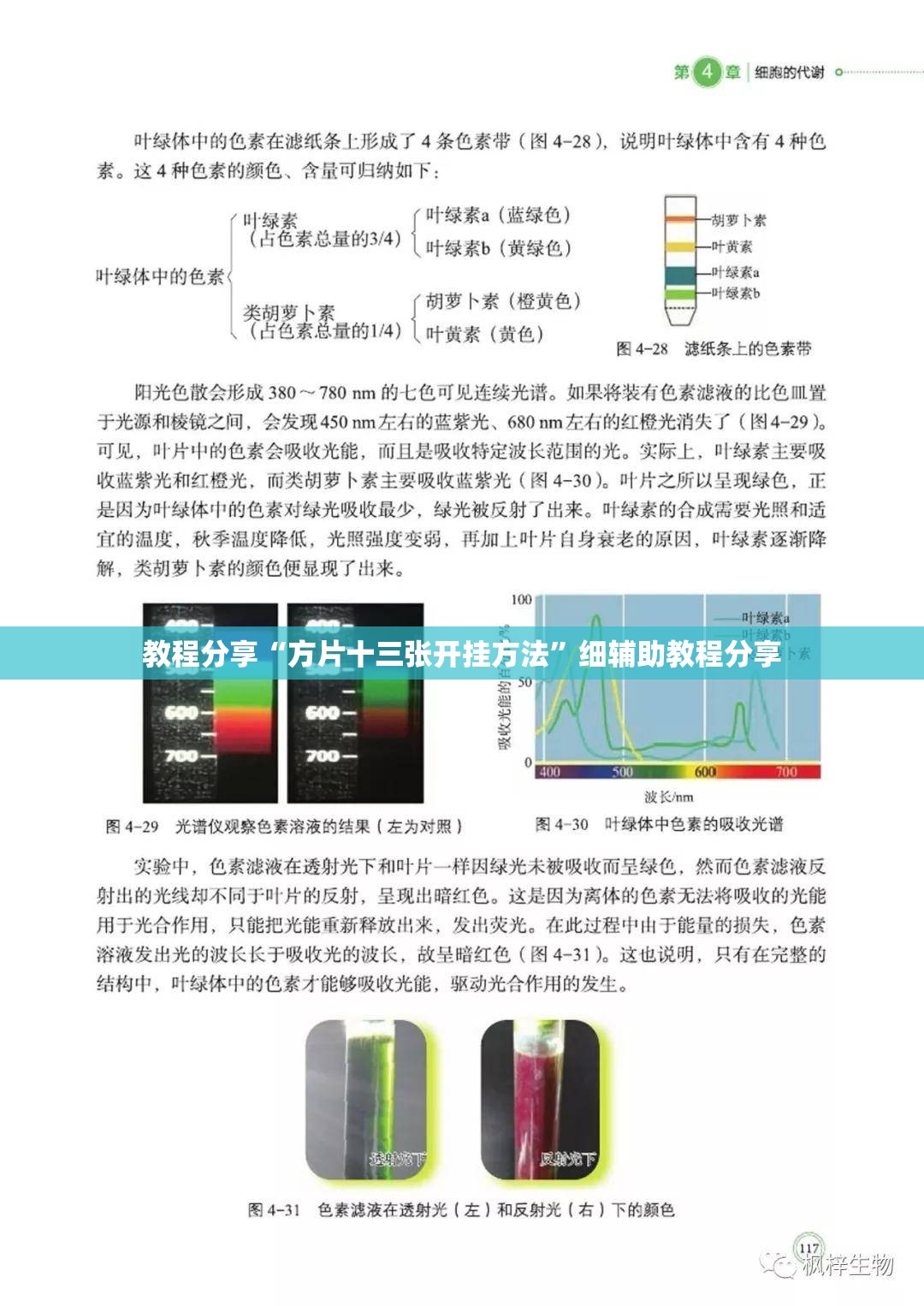 教程分享“方片十三张开挂方法”细辅助教程分享