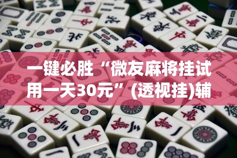 一键必胜“微友麻将挂试用一天30元	”(透视挂)辅助下载教程