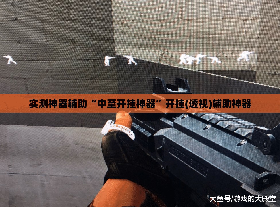 实测神器辅助“中至开挂神器”开挂(透视)辅助神器