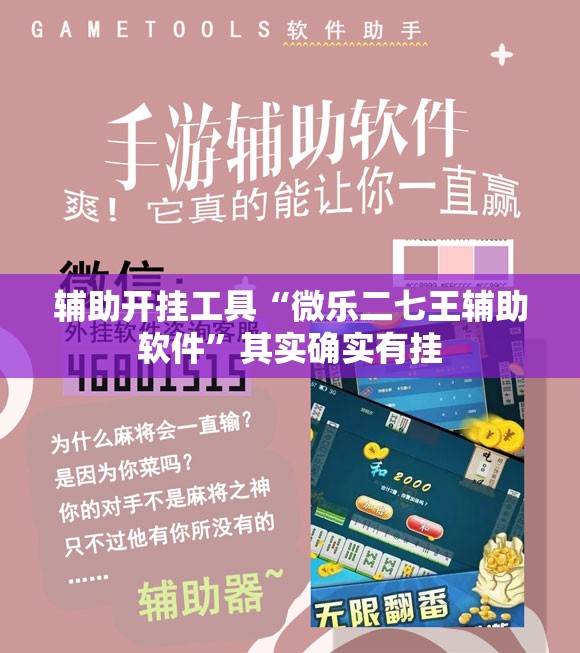 辅助开挂工具“微乐二七王辅助软件	”其实确实有挂