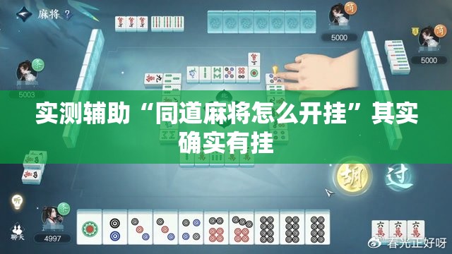实测辅助“同道麻将怎么开挂	”其实确实有挂