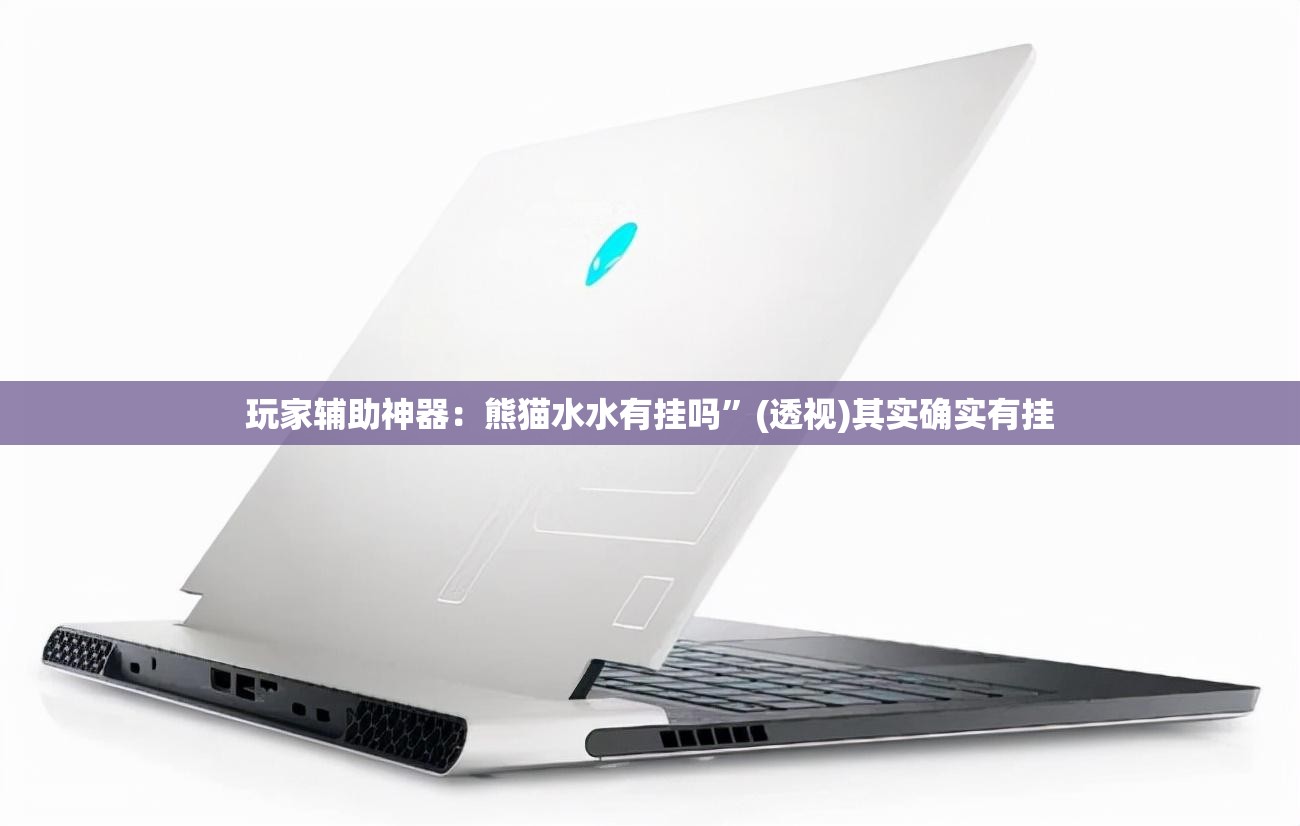 玩家辅助神器：熊猫水水有挂吗	”(透视)其实确实有挂