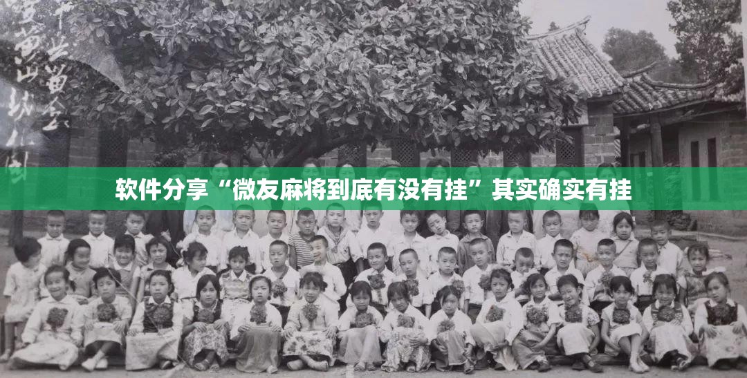 软件分享“微友麻将到底有没有挂”其实确实有挂