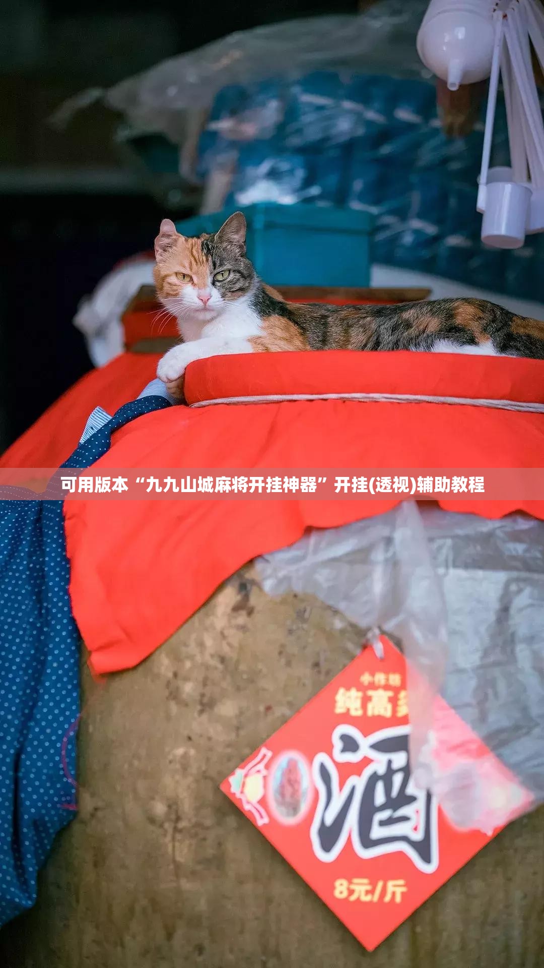 可用版本“九九山城麻将开挂神器	”开挂(透视)辅助教程