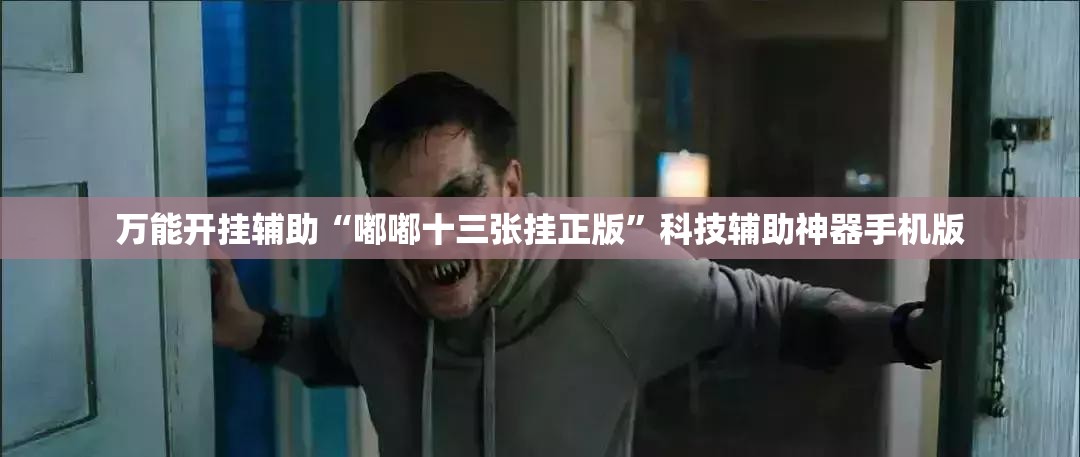 万能开挂辅助“嘟嘟十三张挂正版	”科技辅助神器手机版