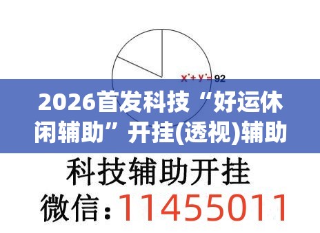 2026首发科技“好运休闲辅助	”开挂(透视)辅助教程