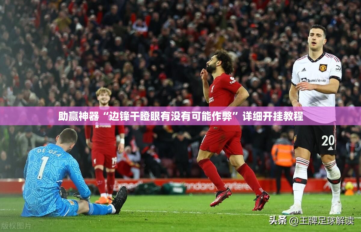 助赢神器“边锋干瞪眼有没有可能作弊	”详细开挂教程