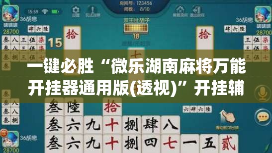 一键必胜“微乐湖南麻将万能开挂器通用版(透视)	”开挂辅助脚本+详细开挂安装教程