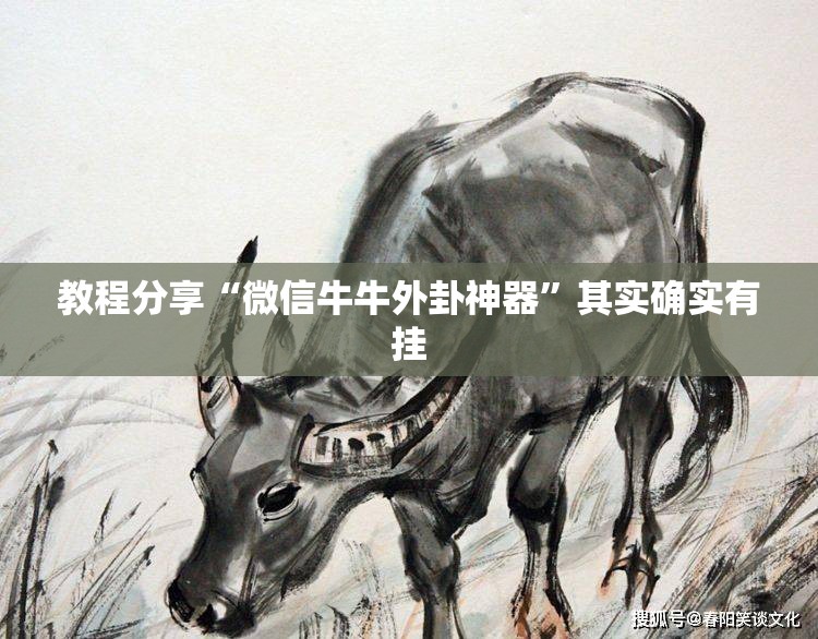 教程分享“微信牛牛外卦神器”其实确实有挂