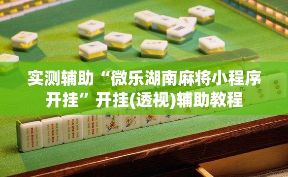 实测辅助“微乐湖南麻将小程序开挂	”开挂(透视)辅助教程