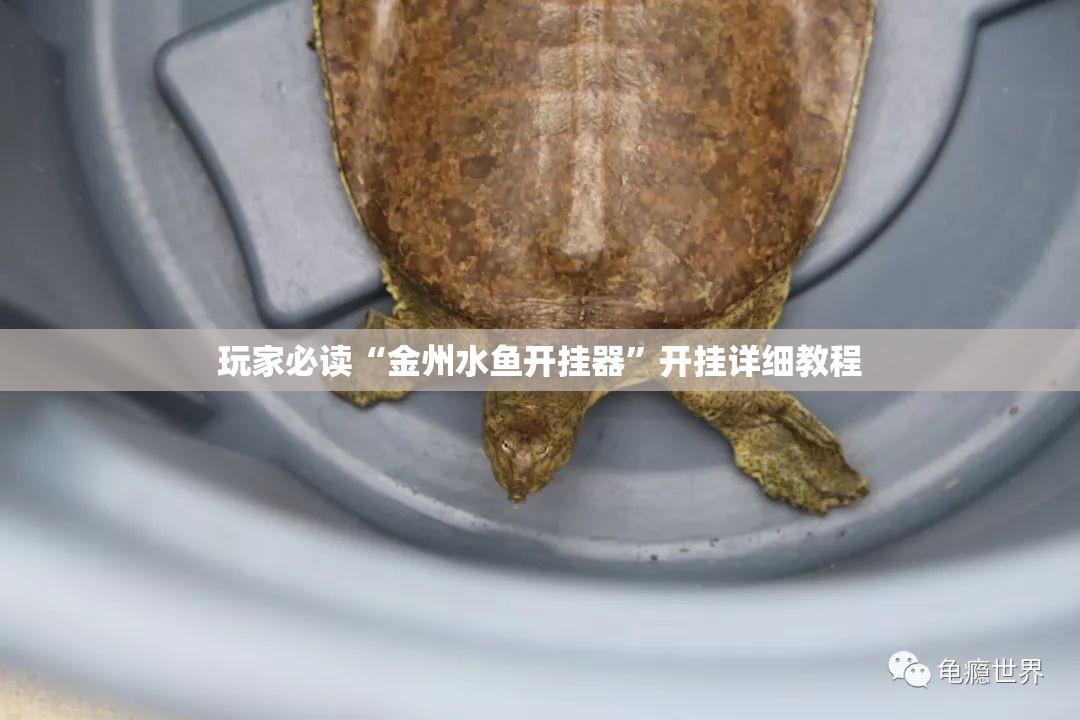 玩家必读“金州水鱼开挂器	”开挂详细教程