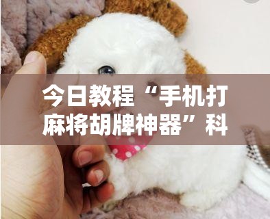 今日教程“手机打麻将胡牌神器”科技辅助神器手机版