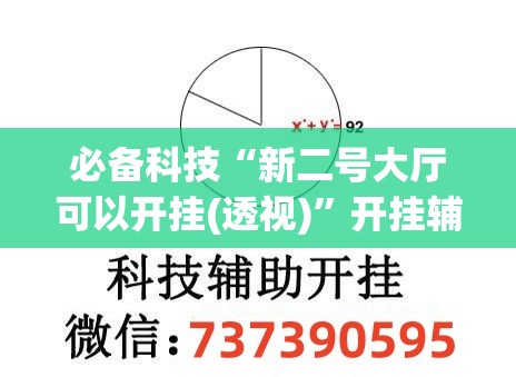 必备科技“新二号大厅可以开挂(透视)”开挂辅助脚本+详细开挂安装教程