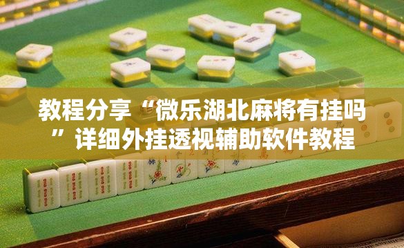 教程分享“微乐湖北麻将有挂吗”详细外挂透视辅助软件教程