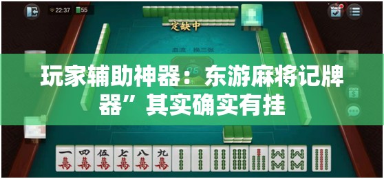 玩家辅助神器：东游麻将记牌器”其实确实有挂