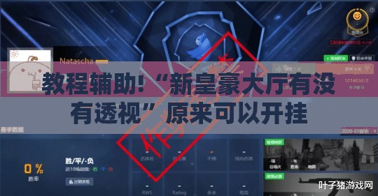 教程辅助!“新皇豪大厅有没有透视”原来可以开挂