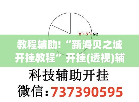 教程辅助!“新海贝之城开挂教程”开挂(透视)辅助神器