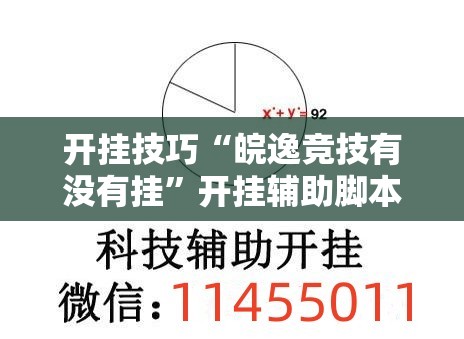 开挂技巧“皖逸竞技有没有挂”开挂辅助脚本+详细开挂安装教程