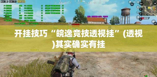 开挂技巧“皖逸竞技透视挂”(透视)其实确实有挂