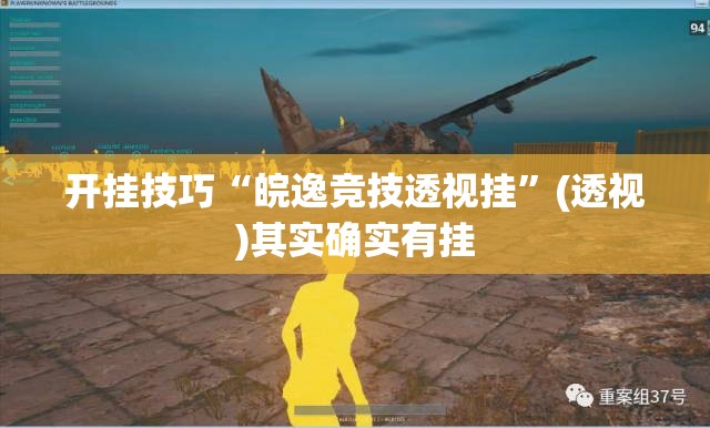 开挂技巧“皖逸竞技透视挂	”(透视)其实确实有挂