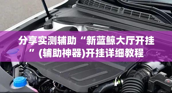 分享实测辅助“新蓝鲸大厅开挂”(辅助神器)开挂详细教程