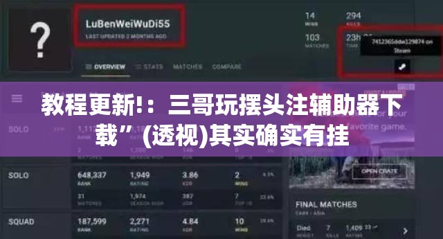 教程更新!：三哥玩摆头注辅助器下载”(透视)其实确实有挂