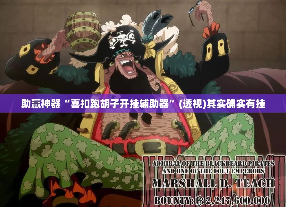 助赢神器“喜扣跑胡子开挂辅助器	”(透视)其实确实有挂