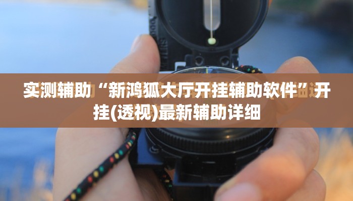 实测辅助“新鸿狐大厅开挂辅助软件”开挂(透视)最新辅助详细